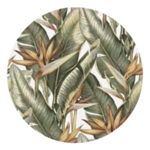 Pack Plato de Sitio “Naturale" x6 unidades